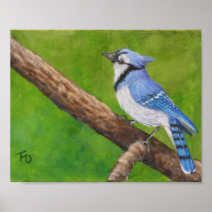 Blauer Jay - Poster