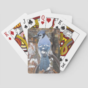 Blauer Jay Spielkarten