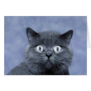Blauer Junge