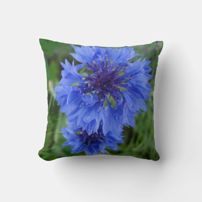Blauer Kornblume Kissen (Vorderseite)