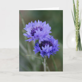 Blauer Kornblumen Karte