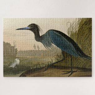 Blauer Kranich, Fischreiher, aus Audubons Birds of