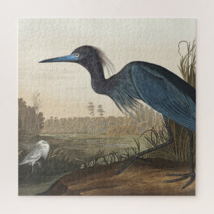 Blauer Kranich oder Reiher aus Birds of America