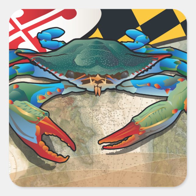 Blauer Krebs in Maryland Quadratischer Aufkleber (Vorderseite)