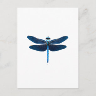Blauer Libelle - Insekt Wildtier Tierliebhaber Ent Postkarte
