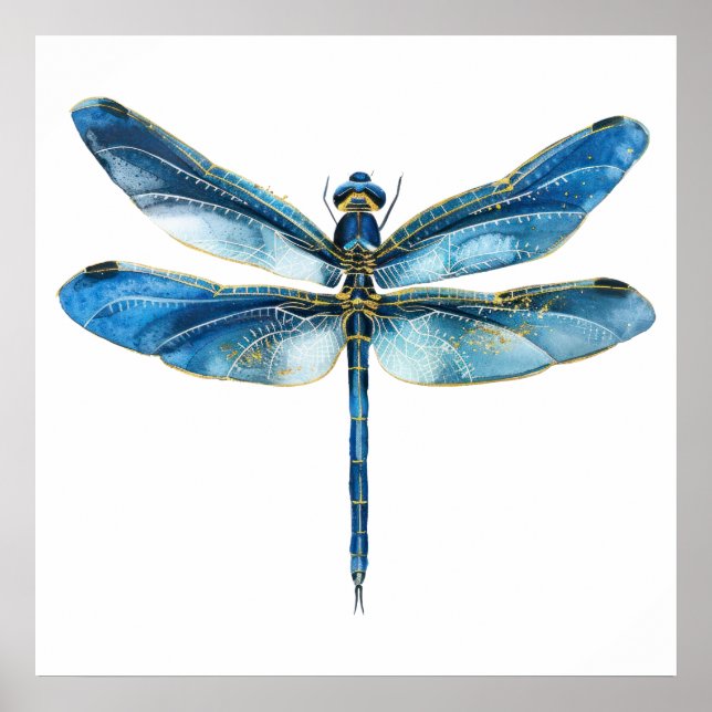 Blauer Libelle  Poster (Vorne)