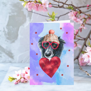 Blauer Lila Border Collie Valentinstag Geschenk Hu Karte