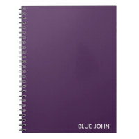 Blauer lila Farbname Johns