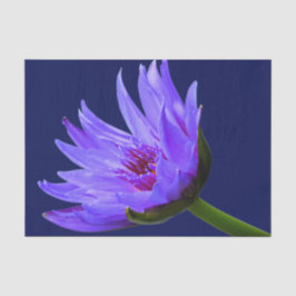 Blauer Lila Lilienwirbel Seidenpapier
