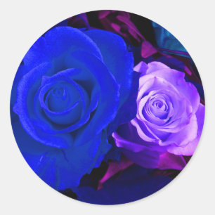 Blauer lila Rosen-Aufkleber - kundengerecht Runder Aufkleber