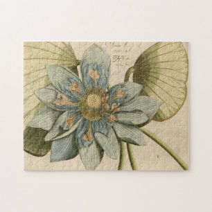 Blauer Lotos-Blume auf TAN-Hintergrund mit