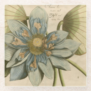 Blauer Lotos-Blume auf TAN-Hintergrund mit Glasuntersetzer