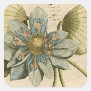 Blauer Lotos-Blume auf TAN-Hintergrund mit Quadratischer Aufkleber