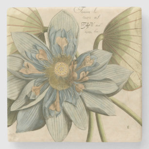 Blauer Lotos-Blume auf TAN-Hintergrund mit Steinuntersetzer