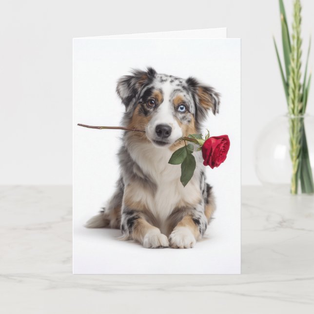 Blauer Merle Aussie Valentine – Ergebene Liebe Karte (Vorderseite)