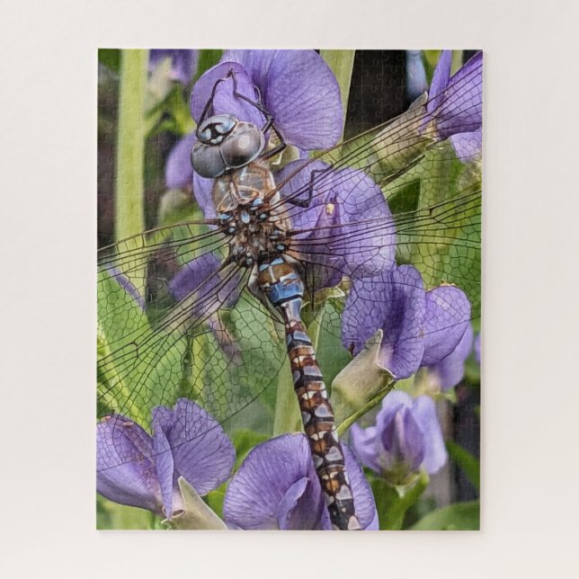 Blauer Mit Augen Darner Dragonfly auf der Blume (Vertikal)