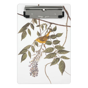 Blauer Mit Augen Gelber Audubon-Vogel auf Wisteria Mini Klemmbrett