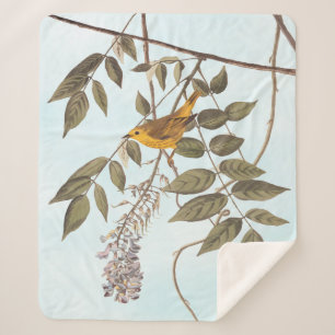 Blauer Mit Augen Gelber Audubon-Vogel auf Wisteria Sherpadecke