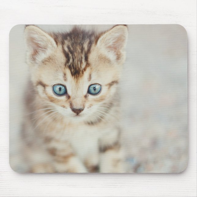 Blauer mit Augen Kitty Mousepad (Vorne)