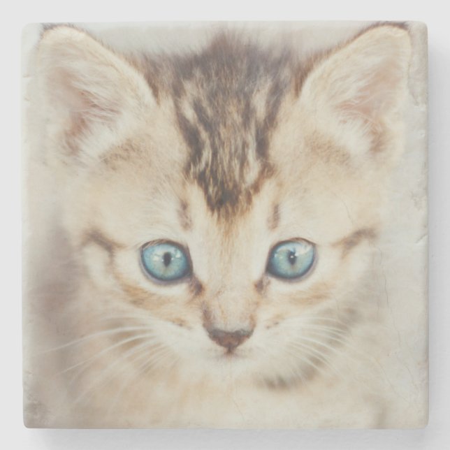 Blauer mit Augen Kitty Steinuntersetzer (Vorderseite)