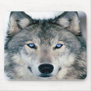 Blauer mit Augen Wolf Mousepad
