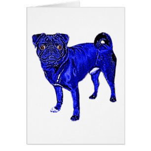 Blauer Mops