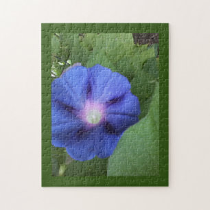 Blauer Morgenglanz