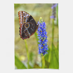 Blauer Morpho-Schmetterling auf einer Sumpforchide Geschirrtuch