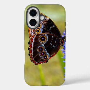 Blauer Morpho-Schmetterling auf einer Sumpforchide iPhone 16 Hülle