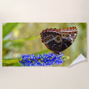Blauer Morpho-Schmetterling auf einer Sumpforchide Strandtuch