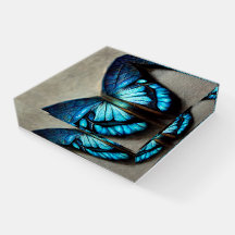 Blauer Morpho-Schmetterling