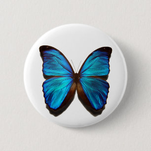Blauer Morpho Schmetterling Button
