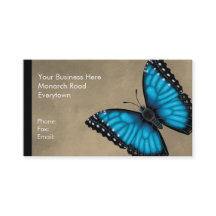Blauer Morpho Schmetterling dorsal und ventral