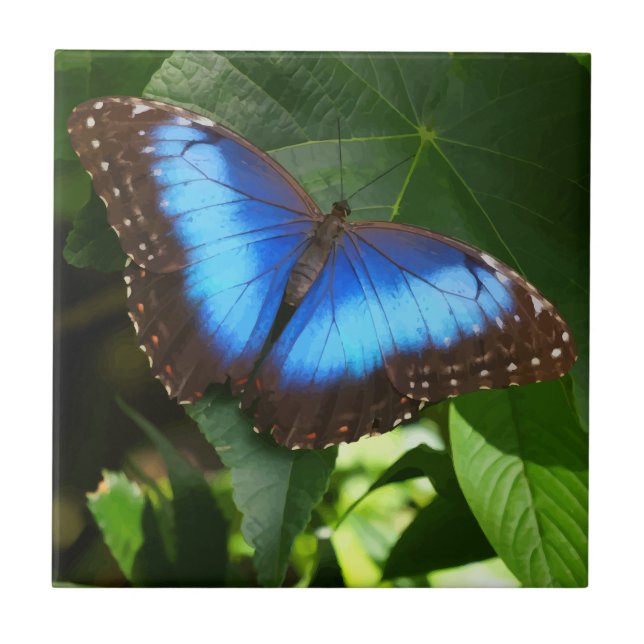 Blauer Morpho-Schmetterling Fliese (Vorderseite)