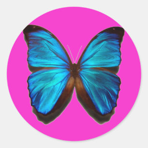 Blauer Morpho-Schmetterling Runder Aufkleber