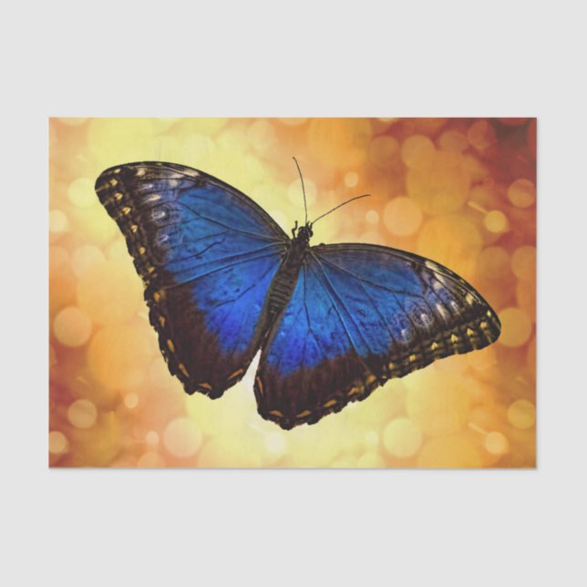 Blauer Morpho Schmetterling Seidenpapier (Vorderseite)