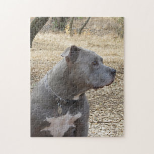 Blauer Nase-Pitbull-Puzzle