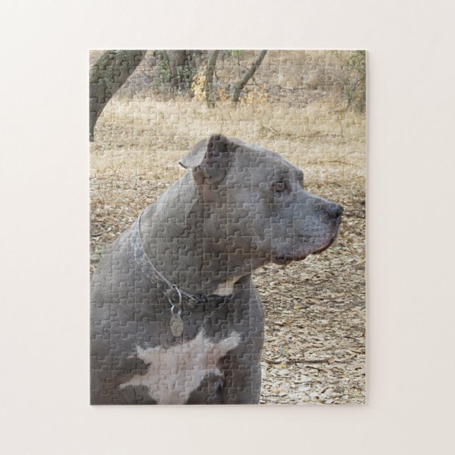Blauer Nase-Pitbull-Puzzle (Vertikal)