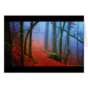 Blauer Nebel in gestrichenem Wald
