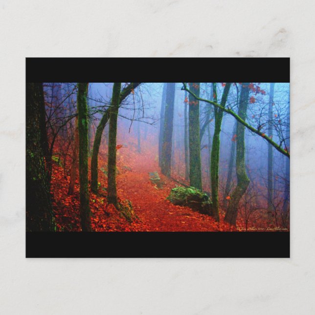 Blauer Nebel in gestrichenem Wald Postkarte (Vorderseite)