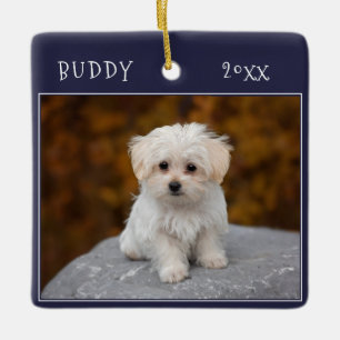 Blauer Niedlicher Hund Haustier 2 Fotos Weihnachte Keramikornament