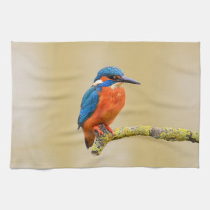 Blauer orange Eisvogel-Vogel Geschirrtuch