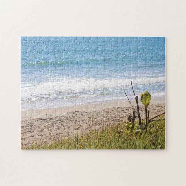 Blauer Ozean-Strand bewegt Fotografie wellenartig (Horizontal)