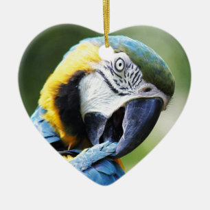 Blauer Papagei Keramikornament