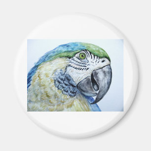 blauer Papagei Magnet
