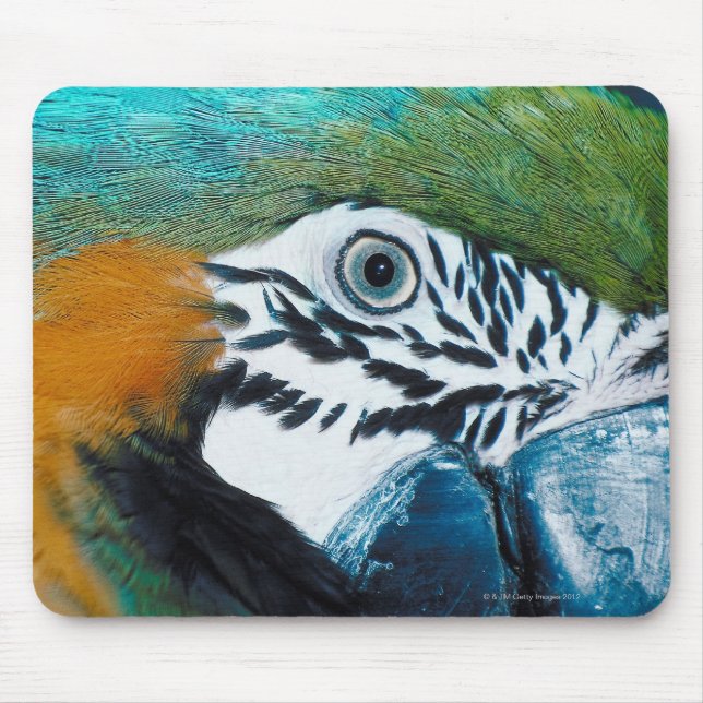 Blauer Papagei Mousepad (Vorne)