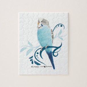 Blauer Parakeet