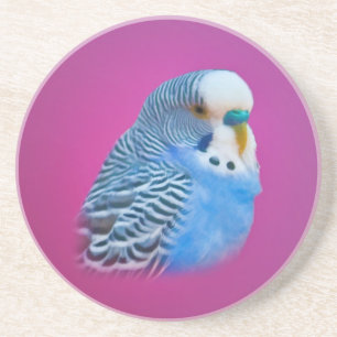 Blauer Parakeet-Untersetzer Sandstein Untersetzer