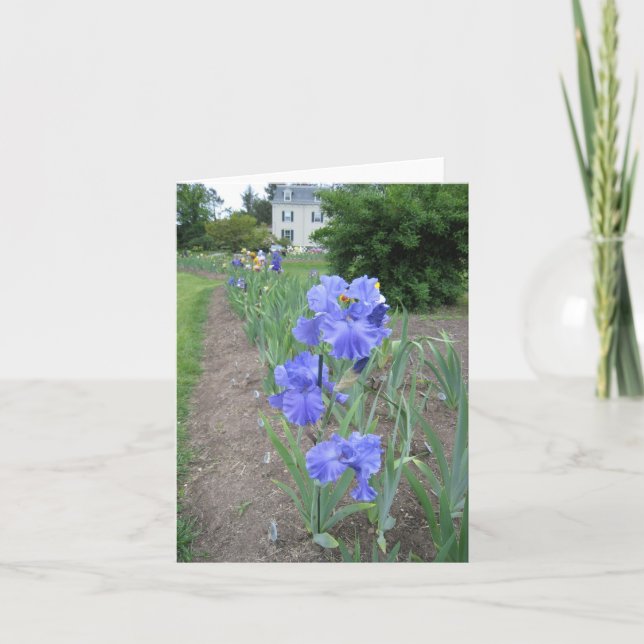 Blauer Pfad Kleinkarte Karte (Vorderseite)