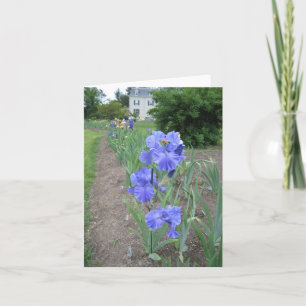 Blauer Pfad Kleinkarte Karte